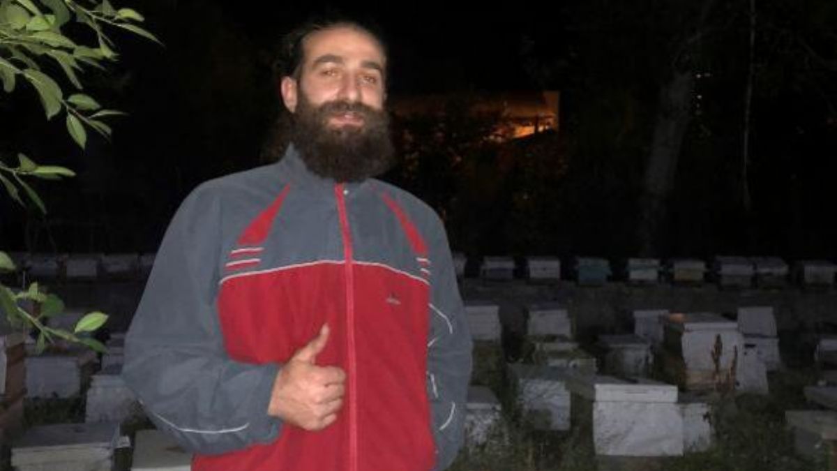 Müzisyen, ayıyı Mozart'ın aryasıyla kovdu