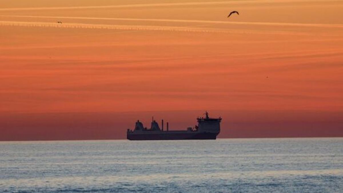 Türkiye, tahıl yüklü Rus gemisine el koydu