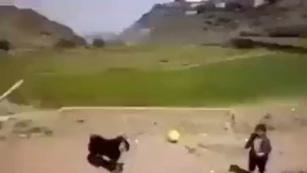 Keçinin inanılmaz futbol yeteneği! İzleyenleri hayran bıraktı