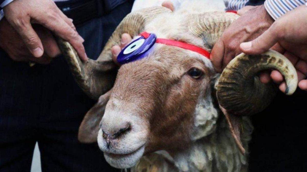 Arefe günü tatil mi? Kurban bayramı arefesi resmi tatil mi? Kurban Bayramı tatili kaç gün?