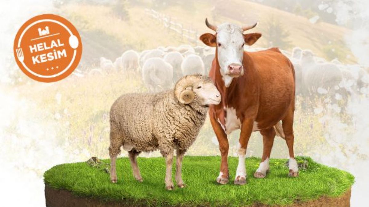 En Güvenilir Kurban Platformu Dünyaya Hizmet Veriyor