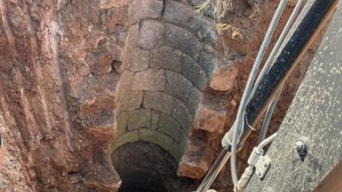 Datça'da içi boş su kuyuya düşen inek kurtarıldı