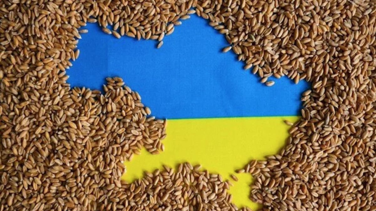 Bakan Akar açıkladı: Tahıl koridoru görüşmeleri yarın İstanbul'da