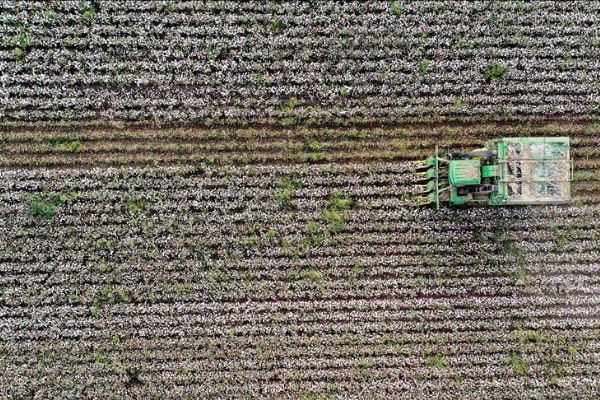 Tarım grubundan ihracatta ilk yarı rekoru