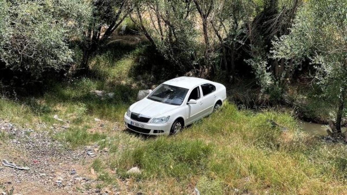 Sürücüsünü arı soktu, şarampole girdi: 4 yaralı