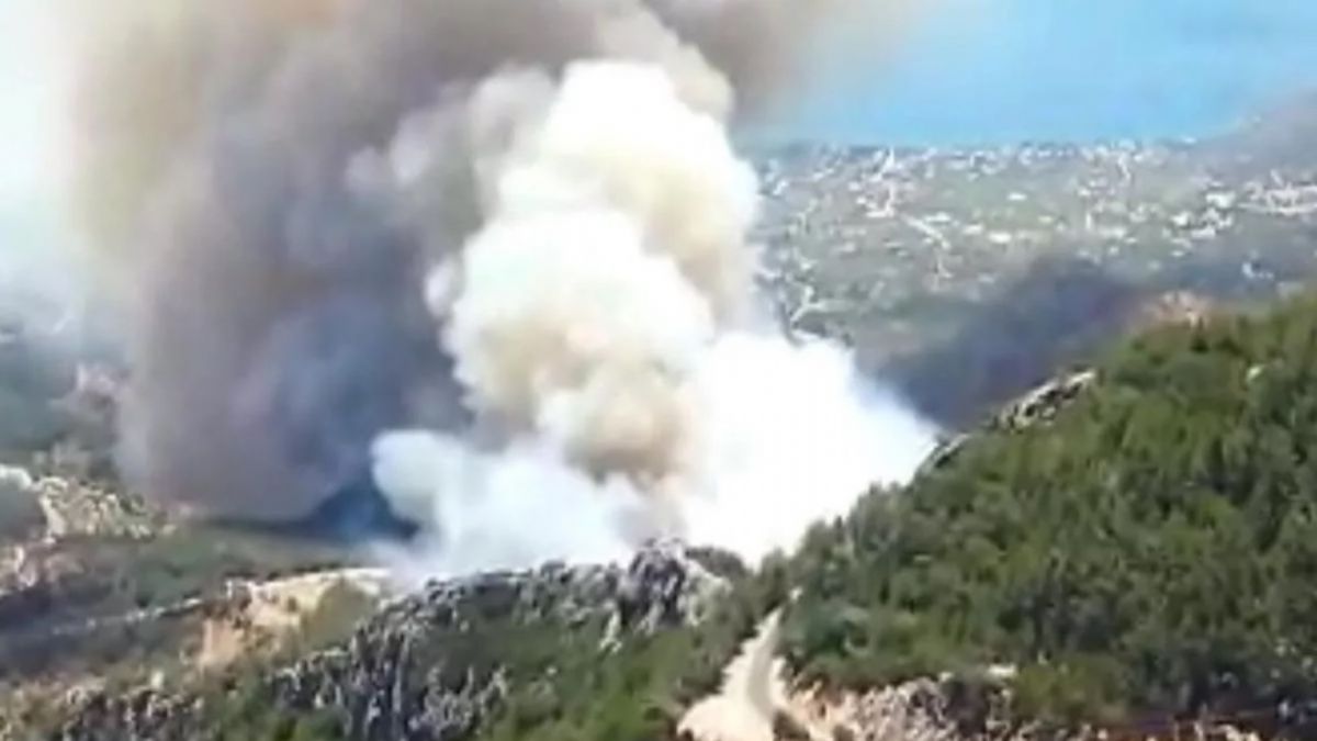 Datça'da orman yangını