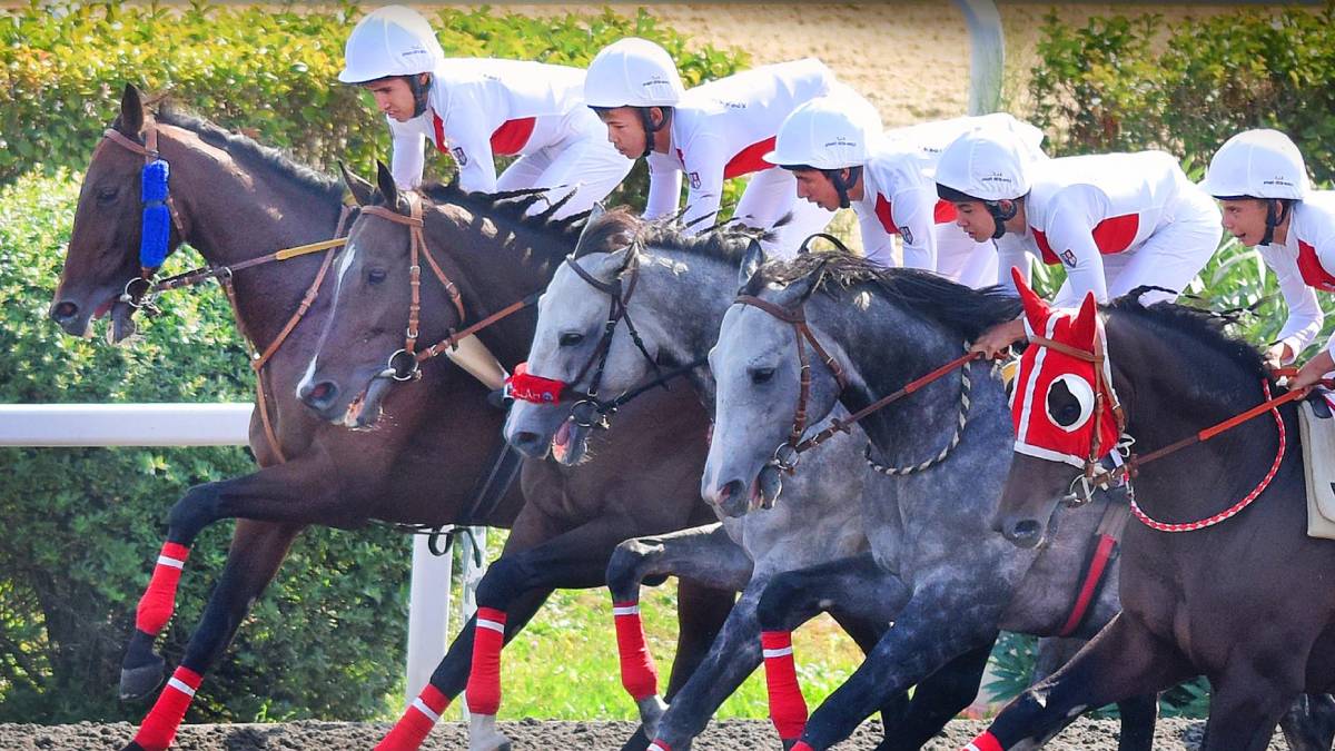 Apranti ne demek? Apranti kime denir? Apranti nasıl olunur?