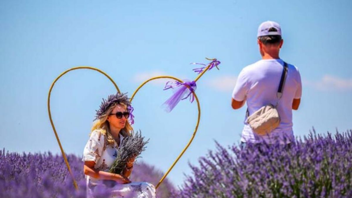 'Ota kim bakar' denilen mor bahçeler, 47 yıldır geçim kaynağı