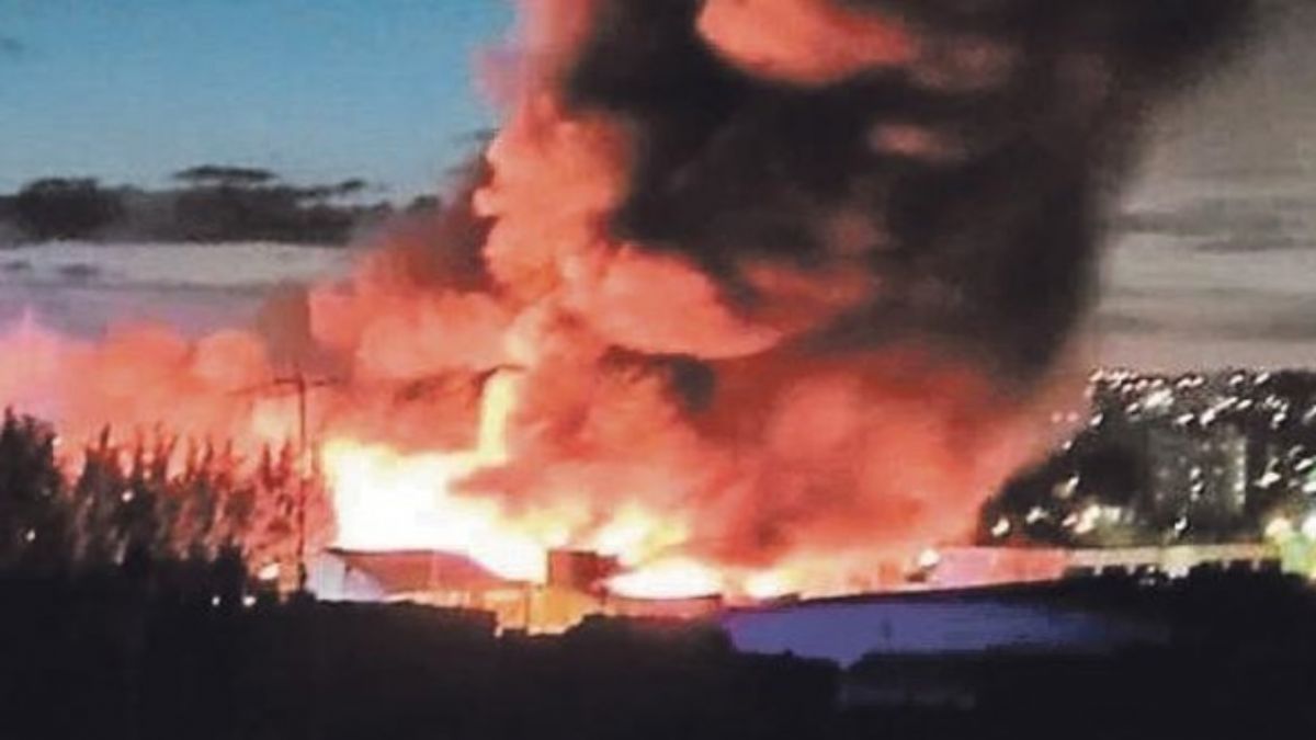 Bill Gates'in projesi küle döndü! Resmen insanlık kurtuldu