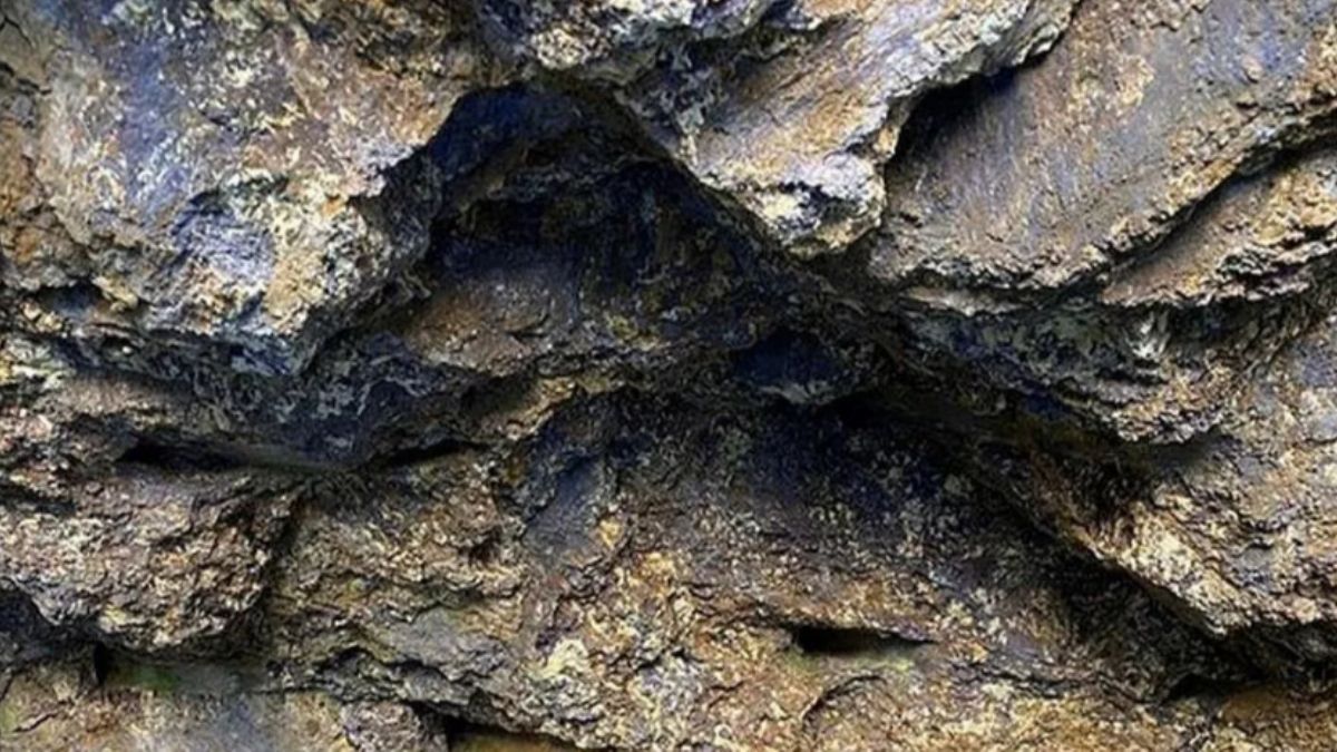 694 milyon tonluk keşifi duyunca Fransızlar peş peşe teklif gönderdiler! Türkiye kabul etmedi