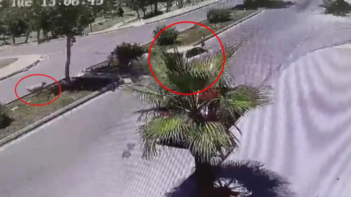 Köpeklerden kaçan 2 çocuk otomobilin altında kaldı