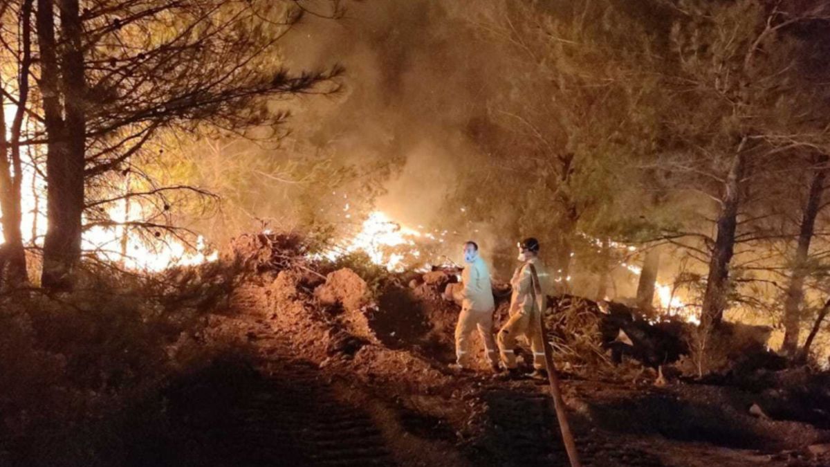 Bakan Koca’dan Datça yangınına ilişkin açıklama