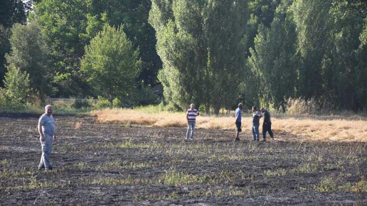 Yangın 30 dakika sürdü ama... 40 dönüm arpa kül oldu!