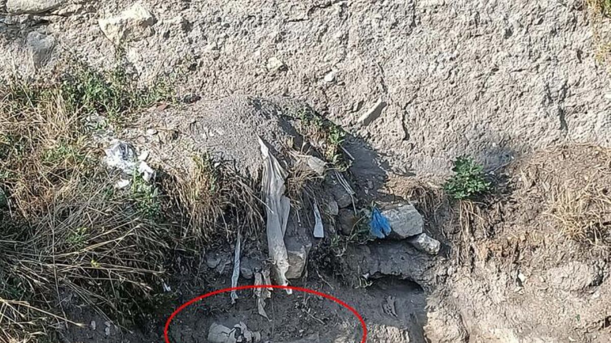 Çankırı'da kafatası ve kemikler bulundu