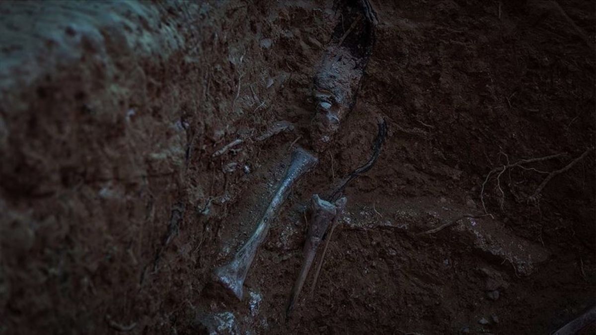 Polonya'da 17,5 ton kül, en az 8 bin cesedin olduğu toplu mezar bulundu