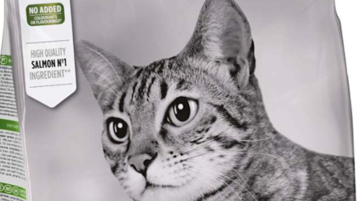 Üç kedi maması ürününde zehirli kimyasallar çıktı: 'Tüketmeyin, derhal imha edin'