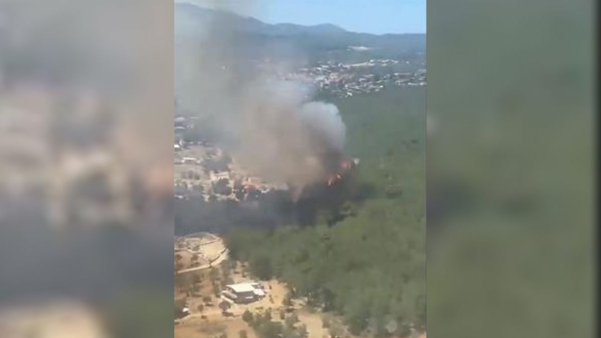 İzmir'de orman yangını