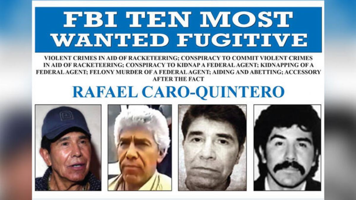 Dizisi gerçek oldu! Uyuşturucu karteli liderini Max adlı köpek yakaladı