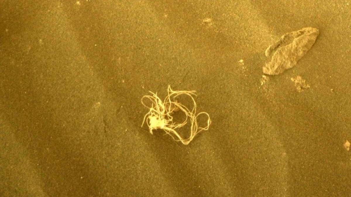 Mars'ta kafa karıştırıcı garip cisim!