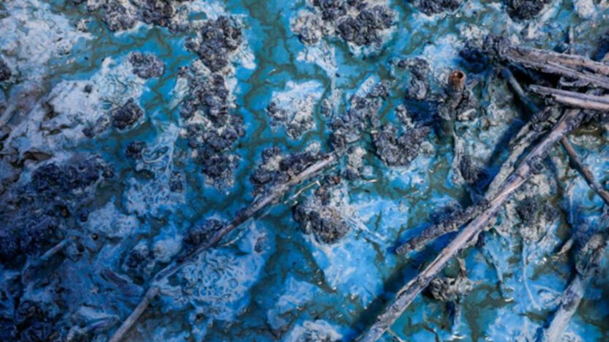 Görüntüler endişe yaratmıştı! İSKİ'den açıklama geldi