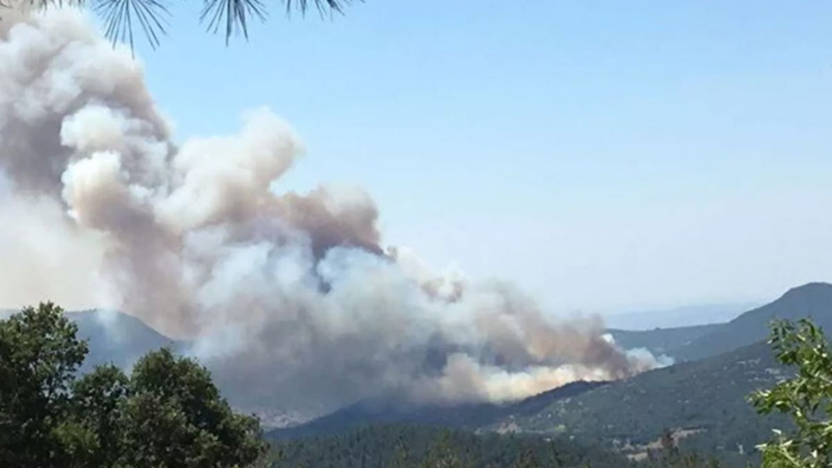Balıkesir'de orman yangını çıktı