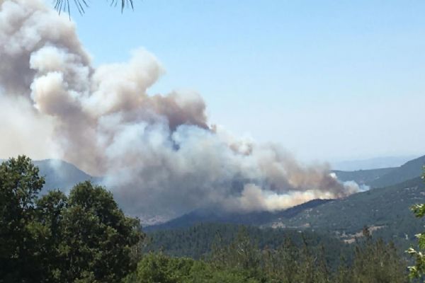 Balıkesir ve İzmir'de orman yangını... Havadan ve karadan müdahale ediliyor
