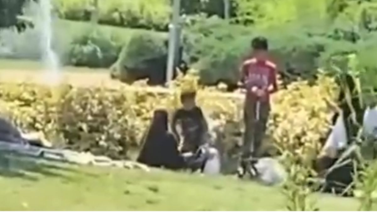 Suriyeli kişiler göletteki kazları çaldı haberinin yalan olduğu iddia edildi