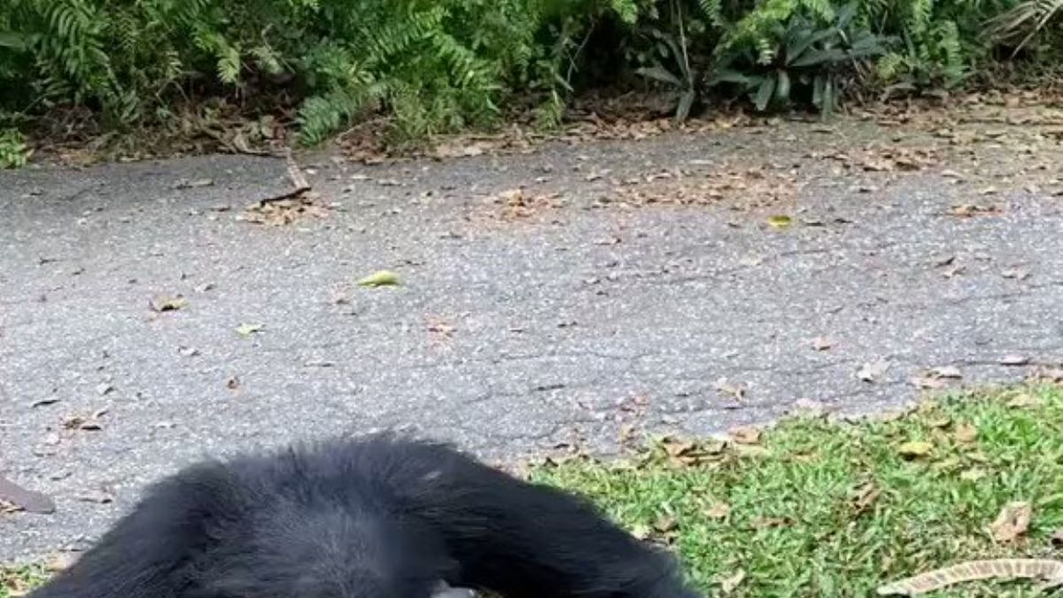 Paylaşmak hiç bu kadar güzel olmamıştı