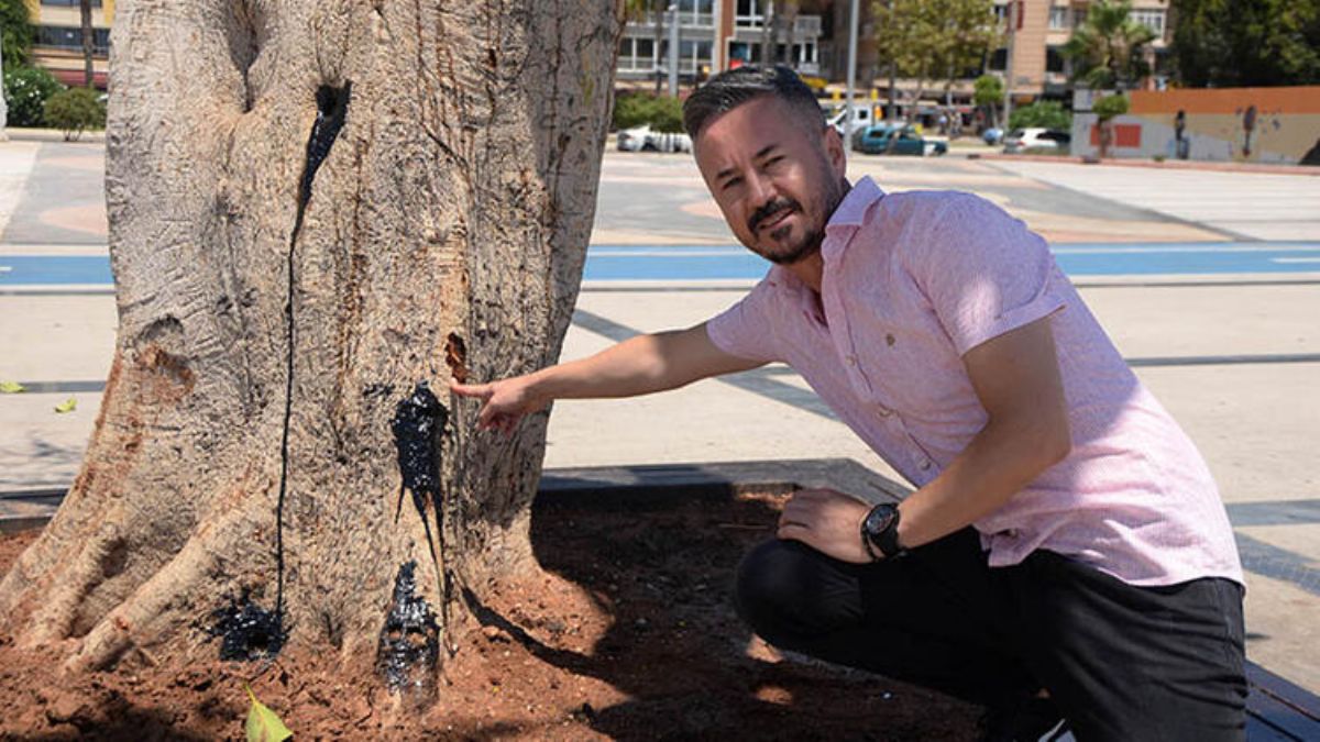 Özgecan Aslan meydanındaki ağaç, matkapla delinip içine asit enjekte edildi