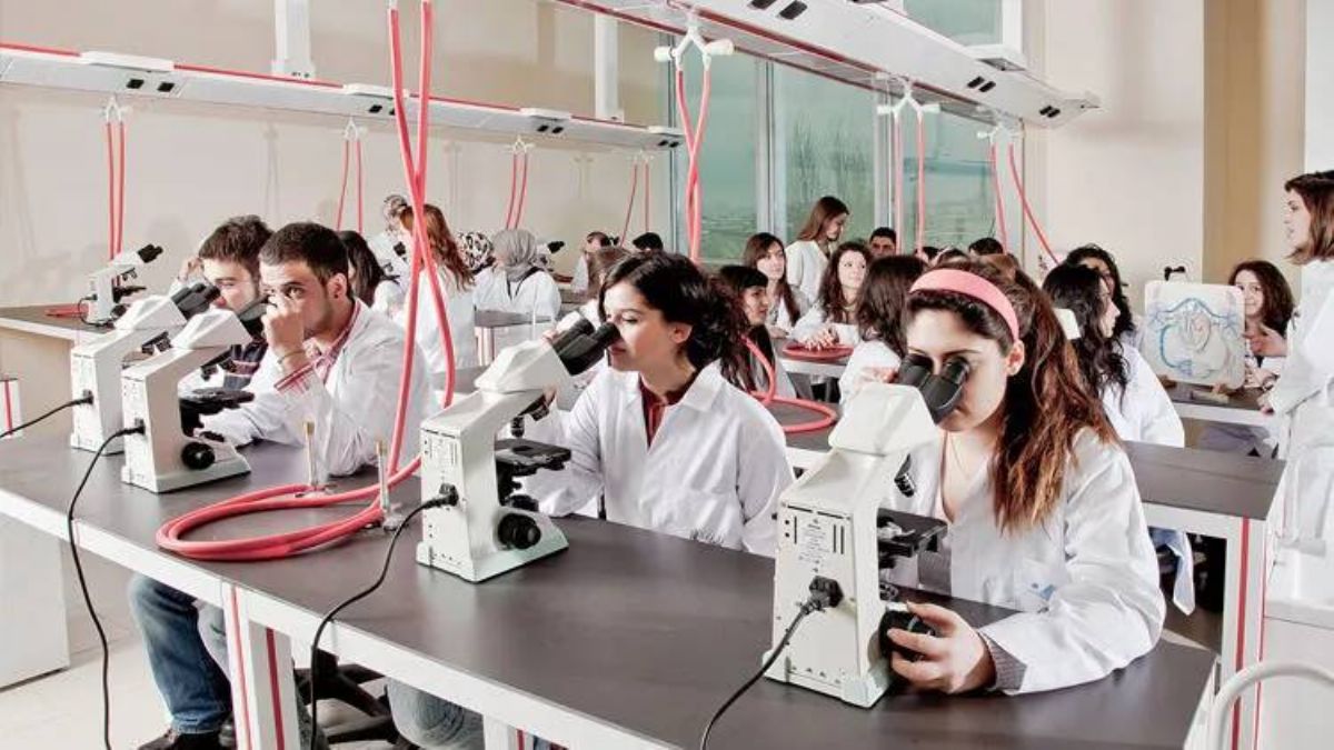 Diş hekimi 5. sınıf ve Tıp Fakültesi 6. sınıf (son sınıf) öğrencilerine asgari ücret mi ödenecek? Diş hekimi ve Tıp öğrencilerine ödeme ne zaman yapılacak?