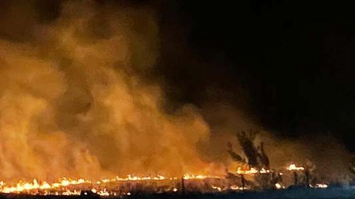 Bu defa insanlar değil leylekler yangın çıkardı