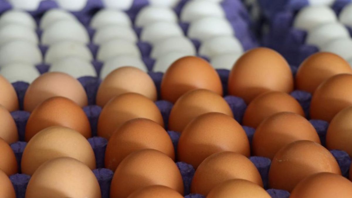 Yumurta fiyatlarına rekor zam!