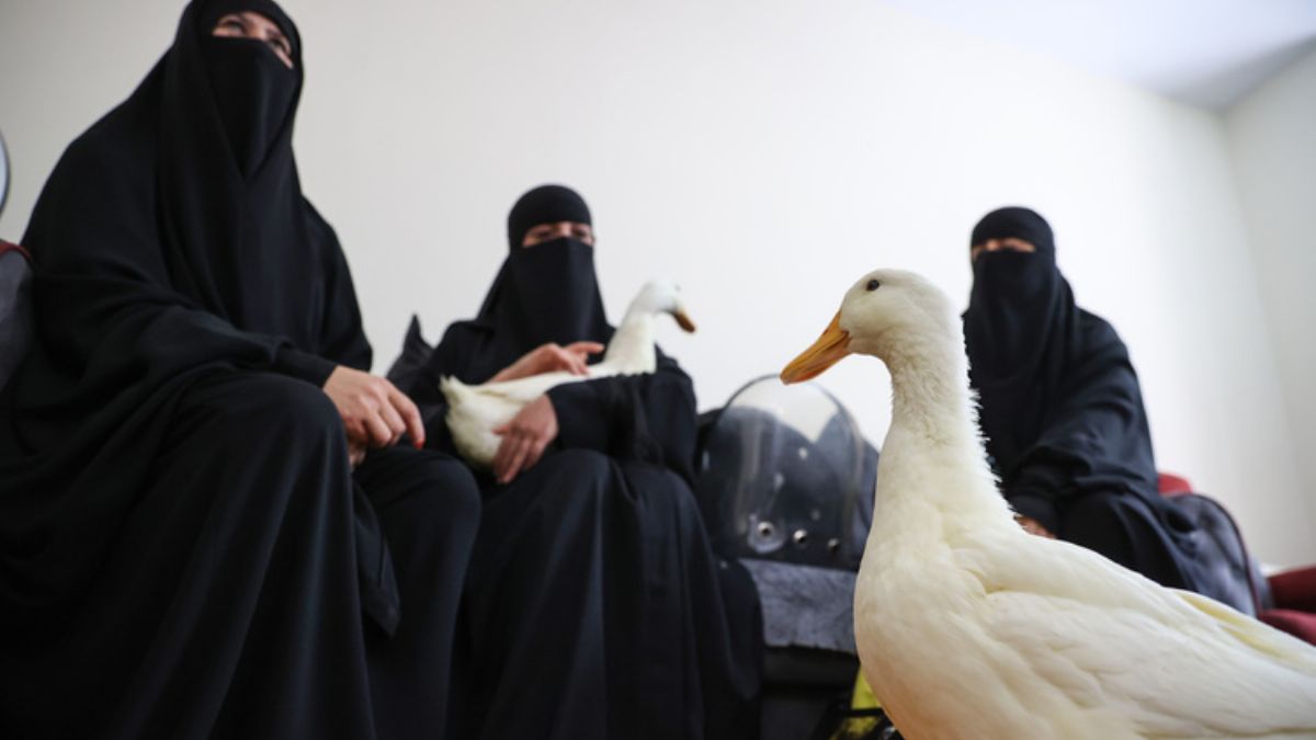 'Ördek krizi' çözüldü; Iraklı kadınlardan açıklama