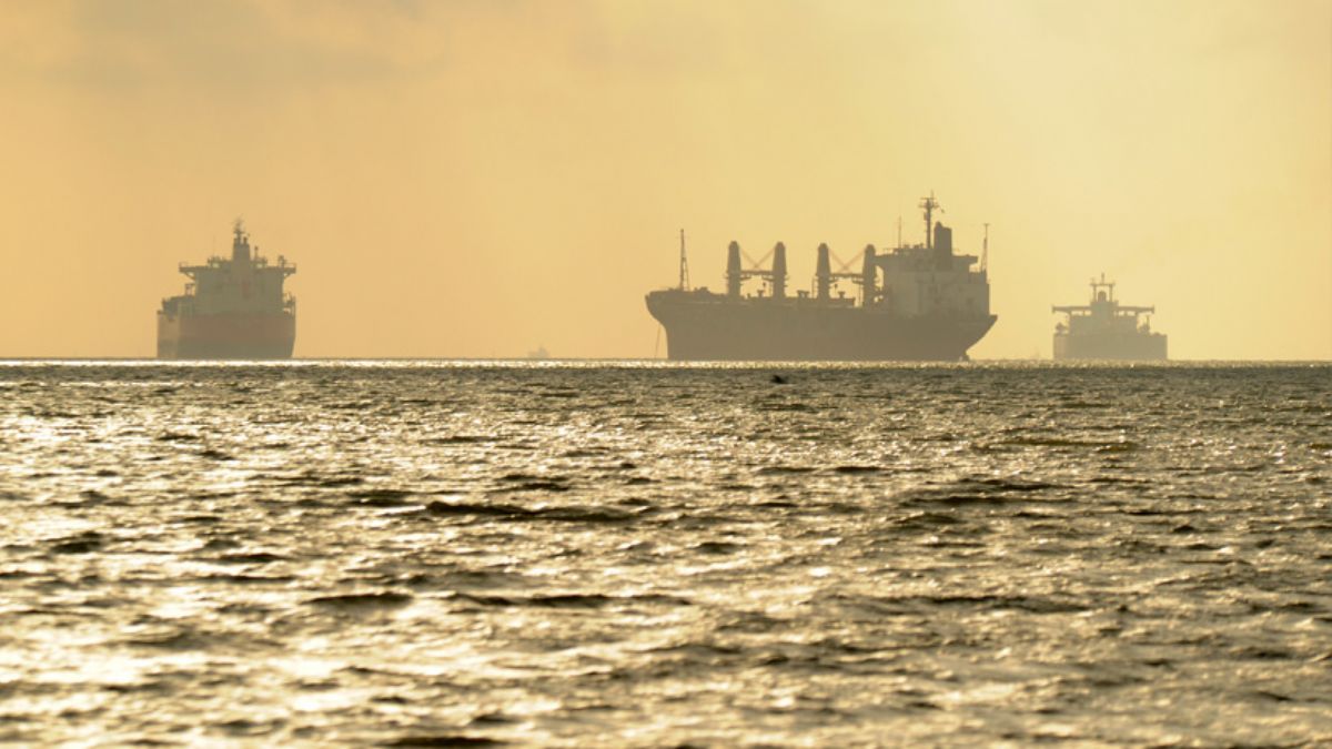 Hindistan silah taşıyan Rus gemisine el koydu