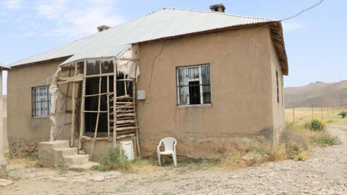Evde bitmeyen korku; 100'den fazla yılan çıktı