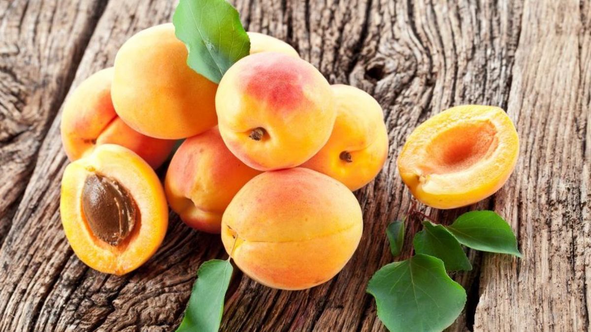 Kayısının faydaları neler? Kayısı neye iyi gelir?