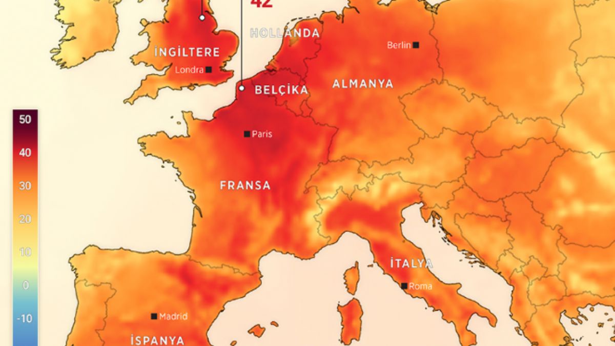Ölüm sıcakları! Portekiz'de 1065 kişi öldü