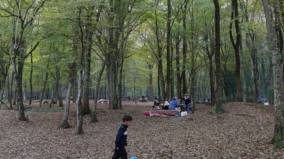 İçişleri Bakanlığı'ndan yeni genelge: Tüm illerde yasaklandı!