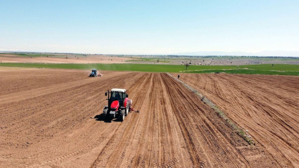 Tarım Bakanlığı'ndan yalanlama! 'Yurt dışında arazi kiralanması söz konusu değildir'