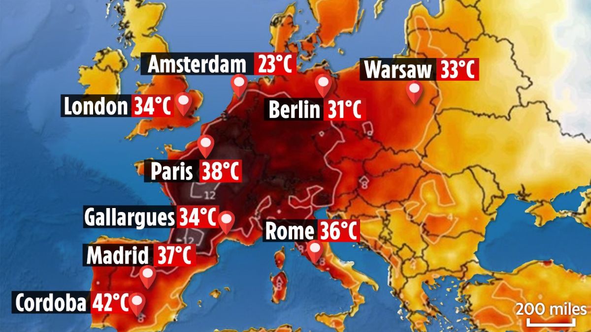 DSÖ Avrupa Direktörü'nden korkutan açıklama: 'Avrupa'daki sıcak havalar kıyametle alakalı'