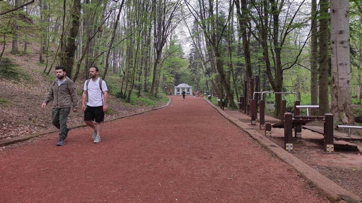 Belgrad Ormanına giriş yasak mı? Belgrad Ormanı açık mı, kapalı mı? Girişler açık mı? Mangal yapmak yasak mı?
