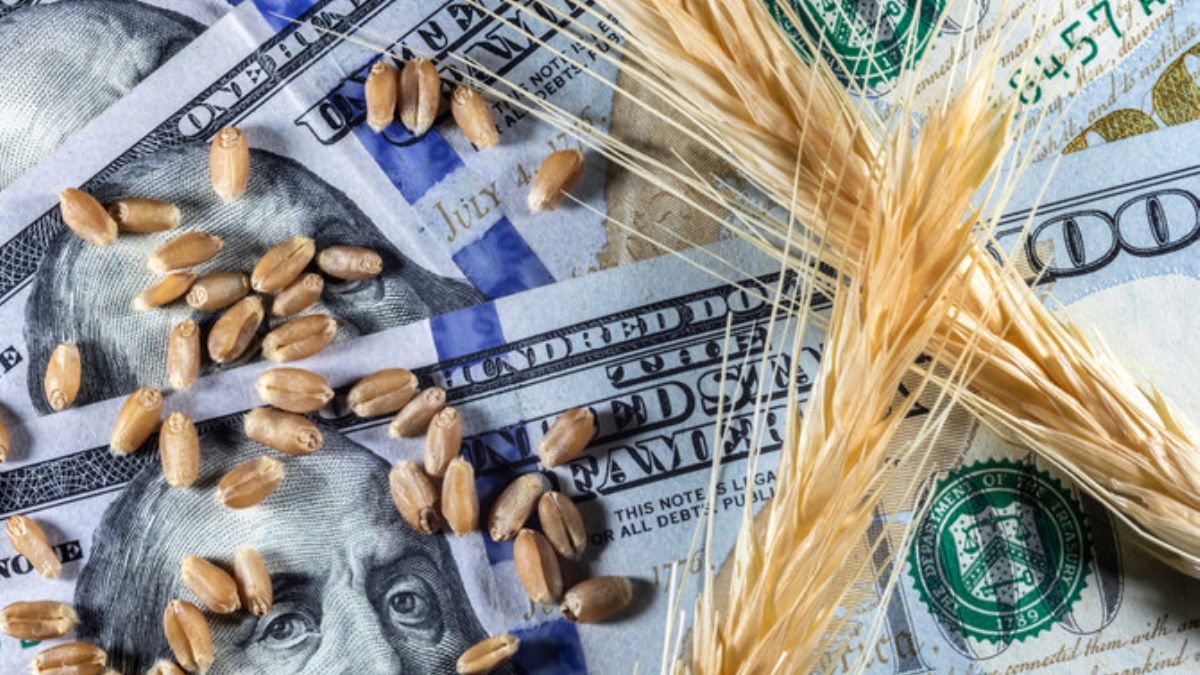 Buğday fiyatları geriledi!