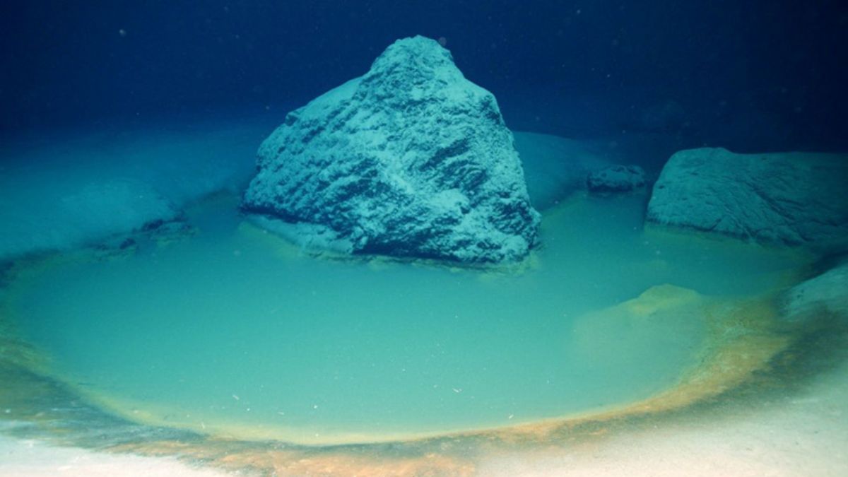 Kızıldeniz'de ölüm havuzu! İçine giren her şeyi yok ediyor