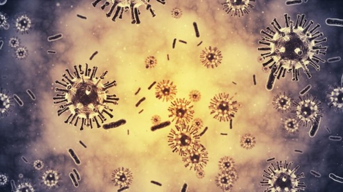 HÜS hastalığı nedir, neden olur? HÜS hastalığının tedavisi var mı?