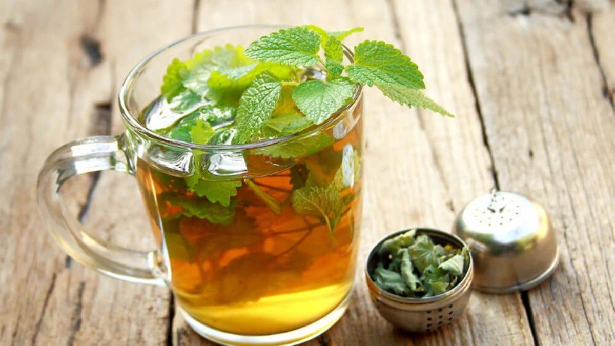 Melisa çayı faydaları nedir? Neye iyi gelir?