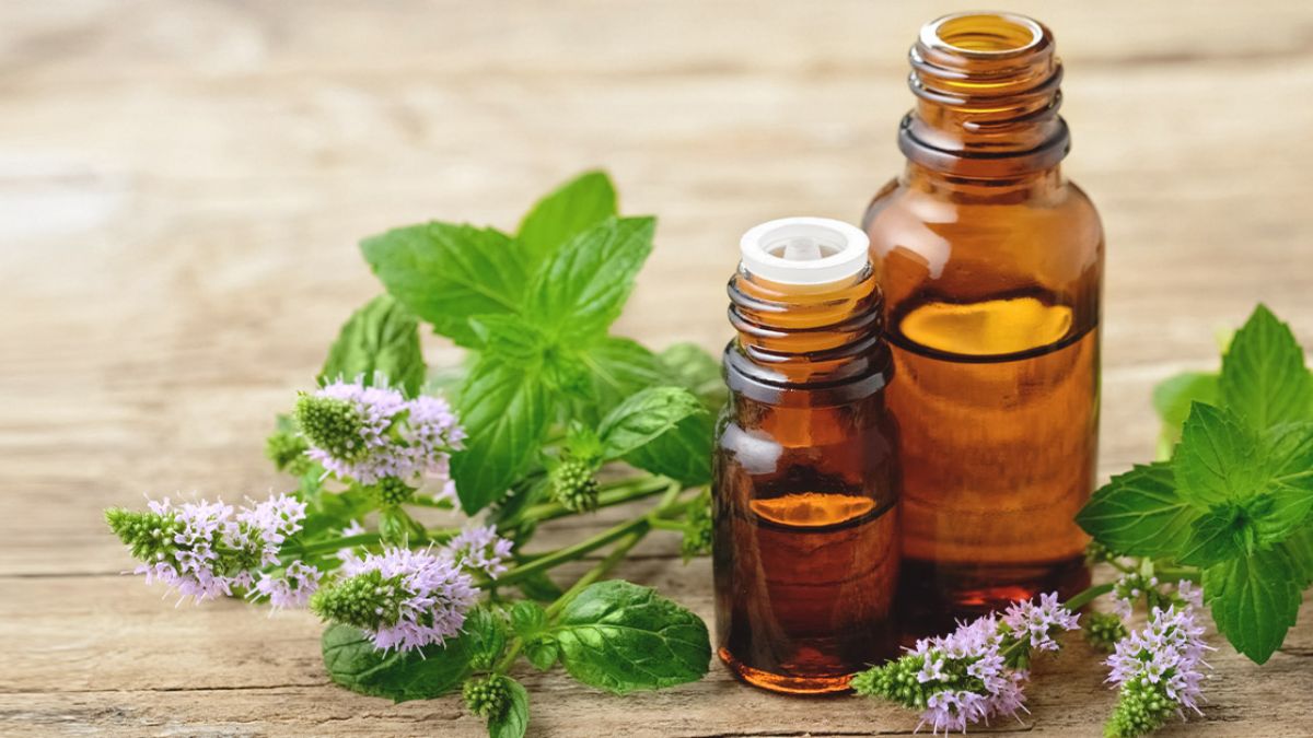 Nanenin faydaları nelerdir?