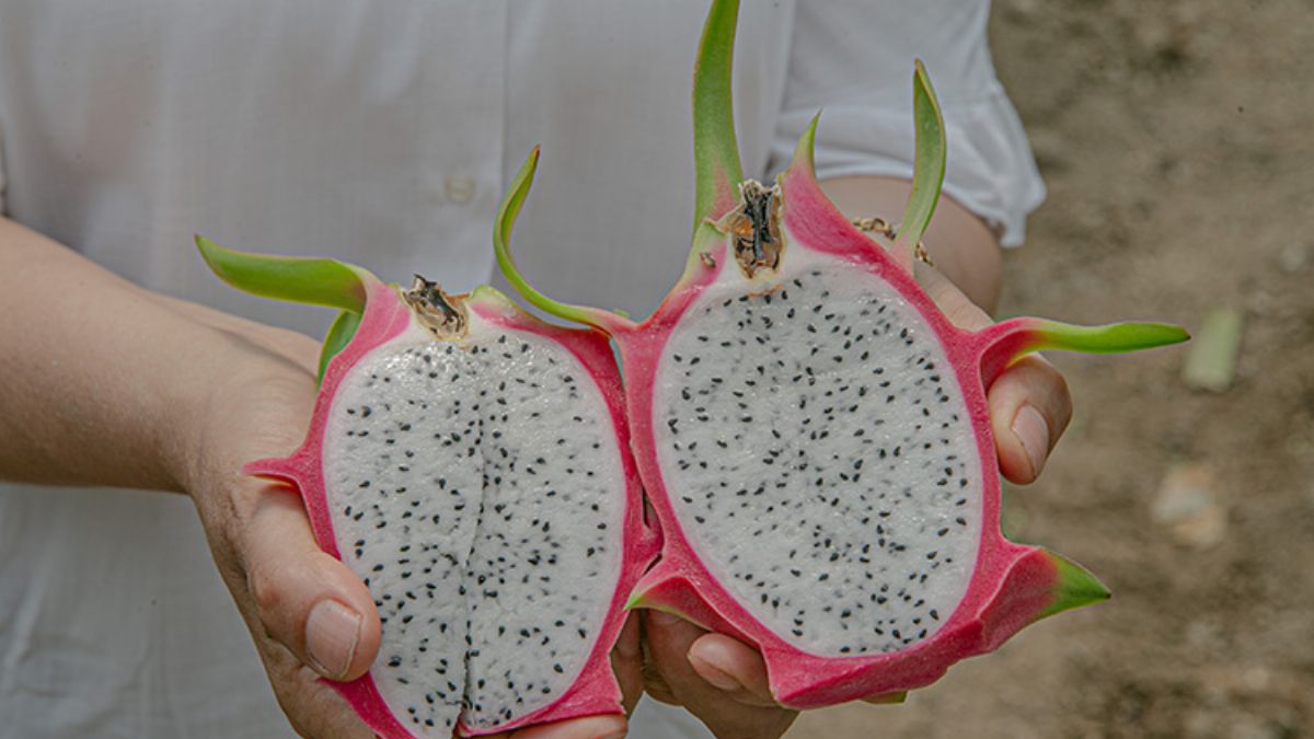 Tatilde gördü, şimdi üretip satıyor