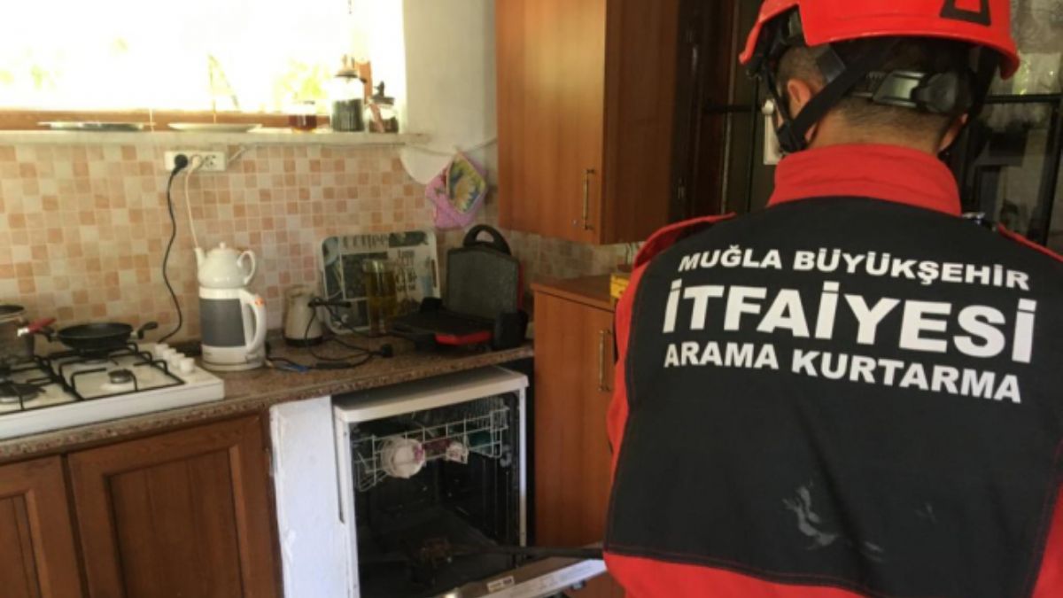 Bulaşık makinesinden yılan çıktı!