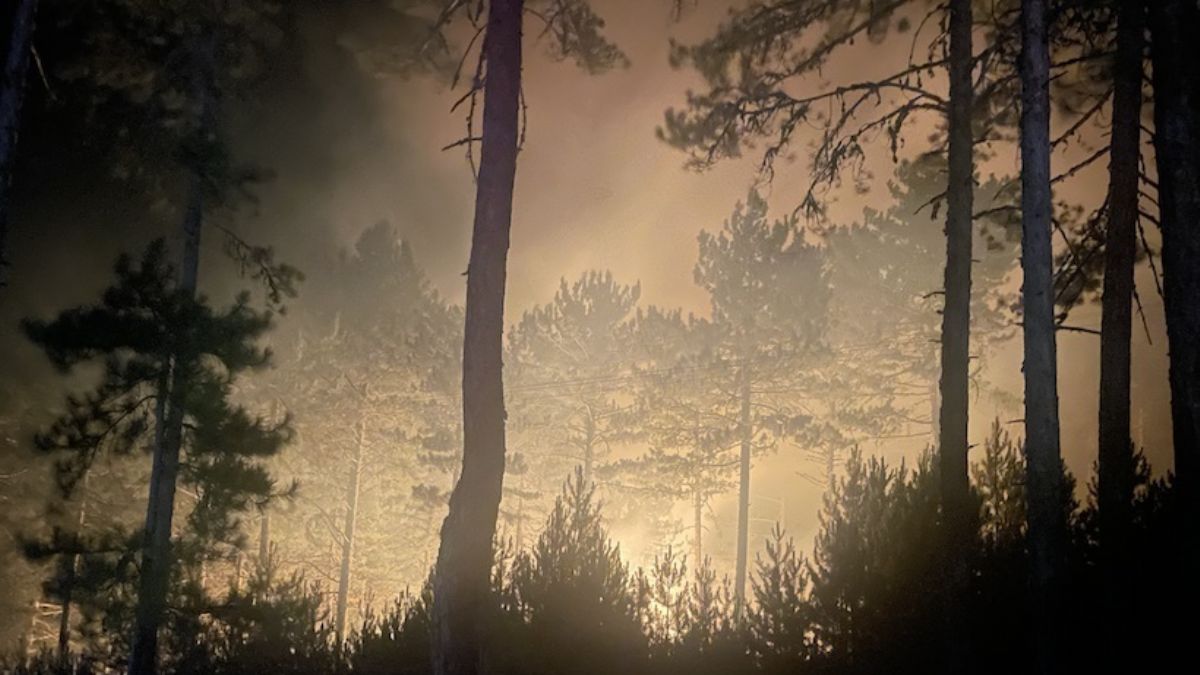 Kütahya'daki yangın kontrol altına alındı