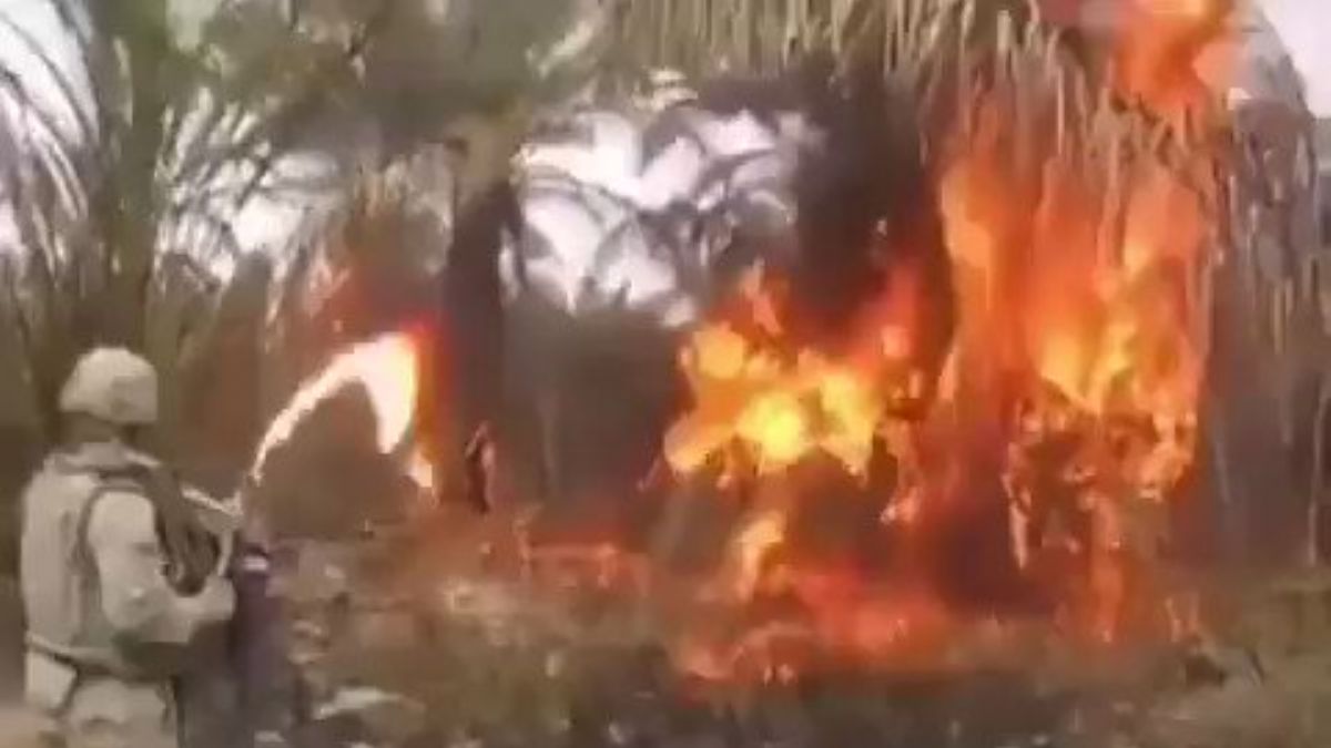 ABD askerlerinin Irak’ta yaktığı  meyve ve palmiye ağaçları